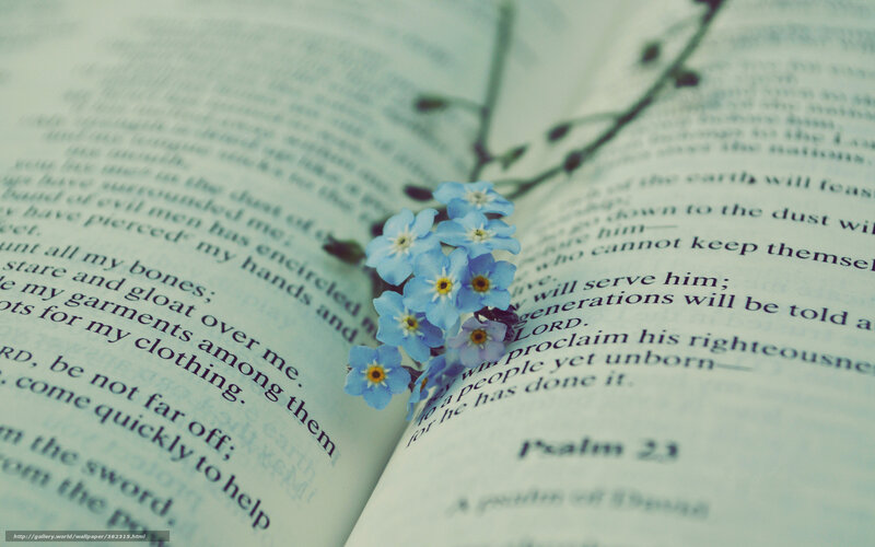 Blue flowers on open book