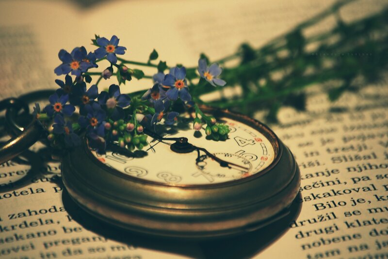 Blue Flowers on Pocket Watch