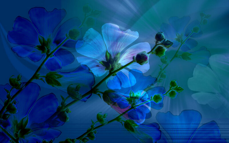 Blue Flowers on Stems — Ethereal