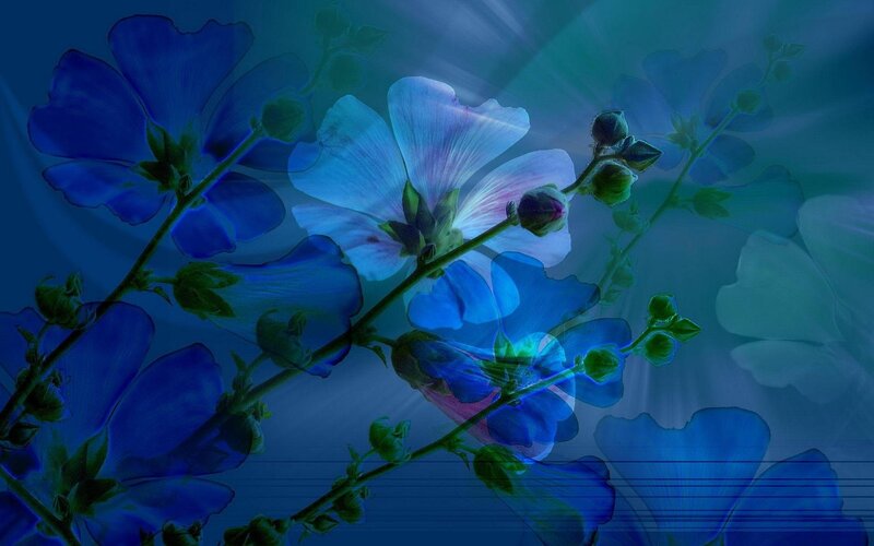 Blue Flowers on Stems — Serene