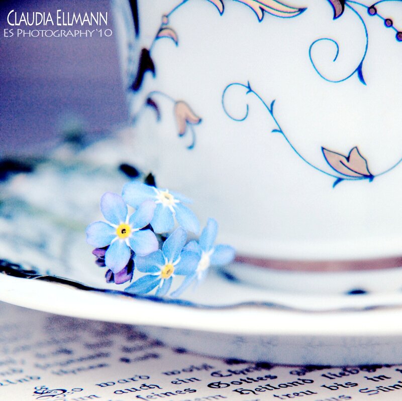 Blue Flowers on Teacup