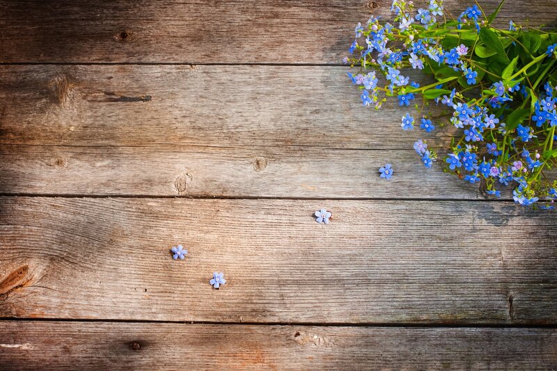 Blue Flowers on Wood — Calm, Spring
