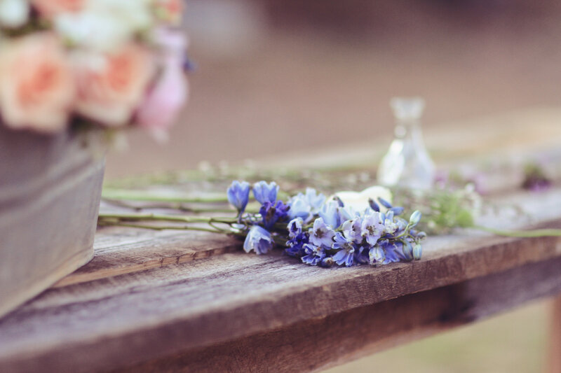 Blue Flowers on Wood — Purple