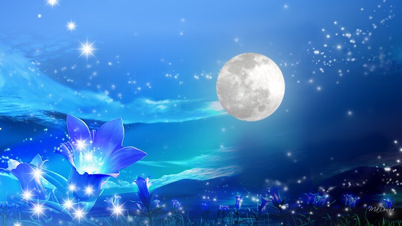 Blue Flowers under Moon