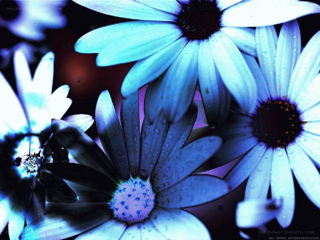 Blue flowers with digital effect