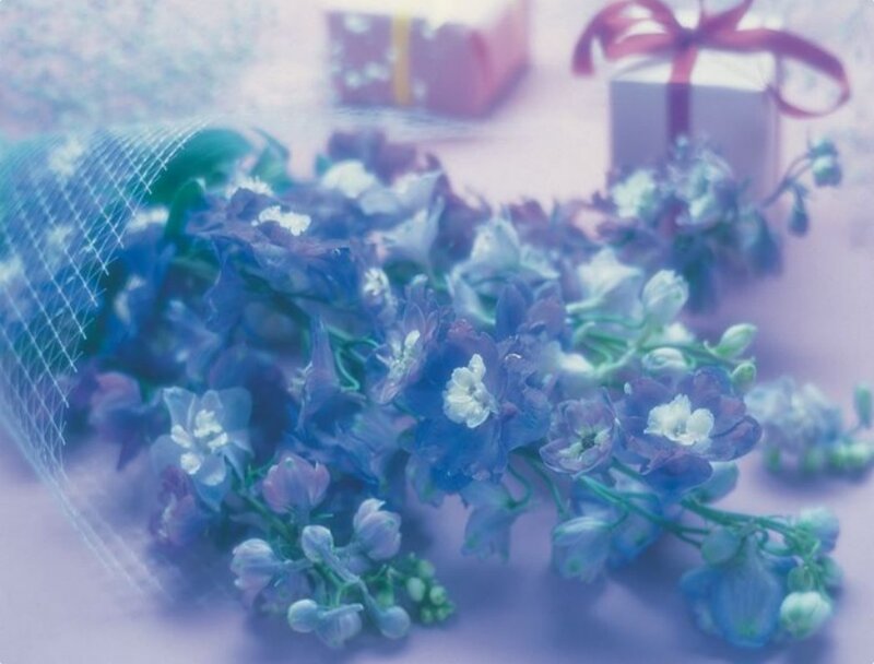 Blue flowers with gift boxes