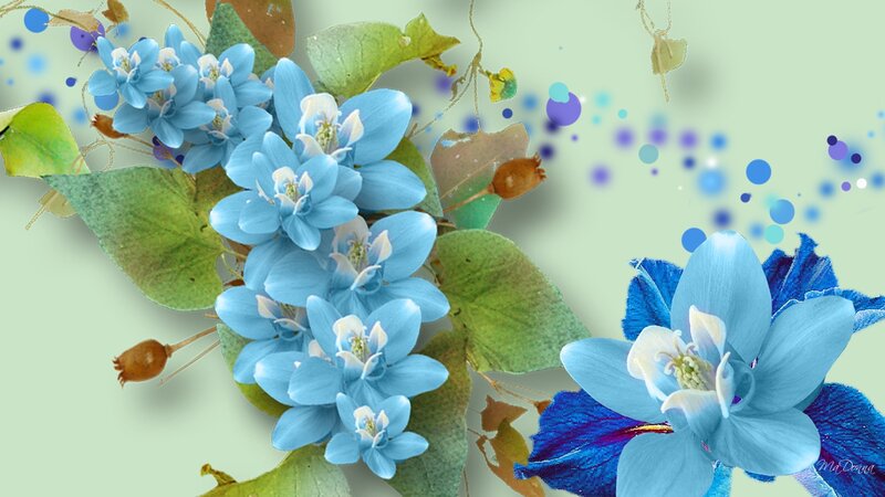 Blue Flowers with Green Leaves — Calm