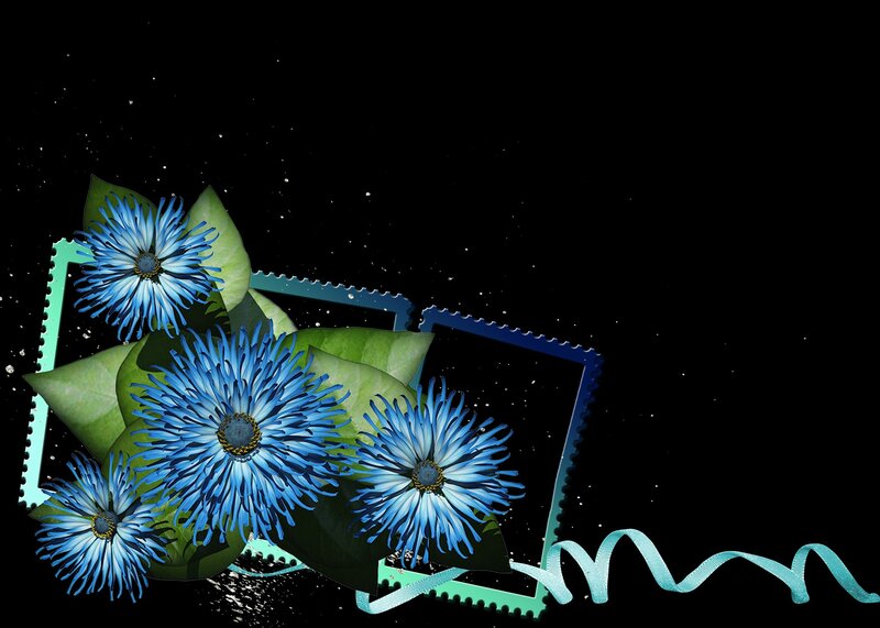 Blue Flowers with Green Leaves — Dramatic