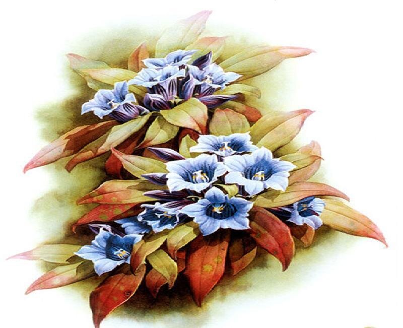 Blue Flowers with Leaves
