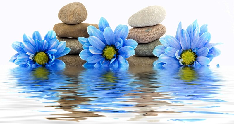 Blue Flowers with Stones