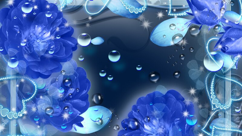 Blue Flowers with Water Droplets — Dreamy