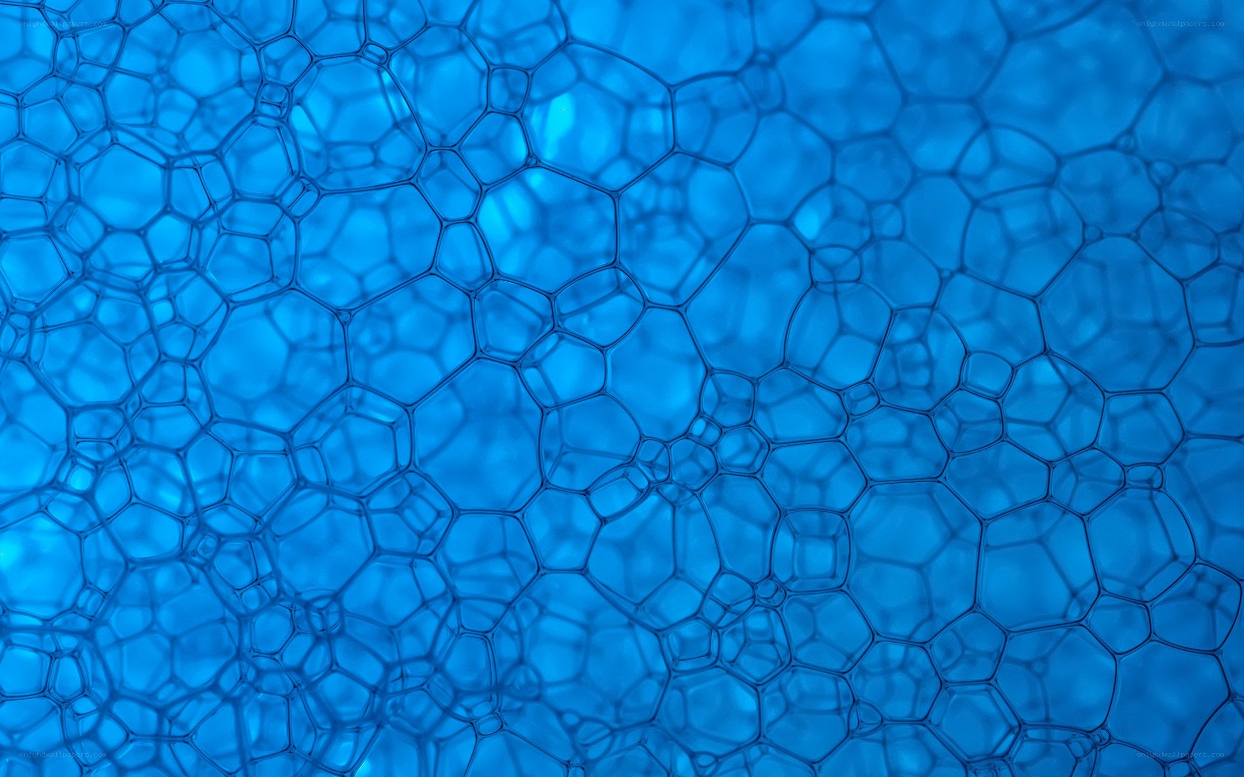 Blue foam bubble pattern