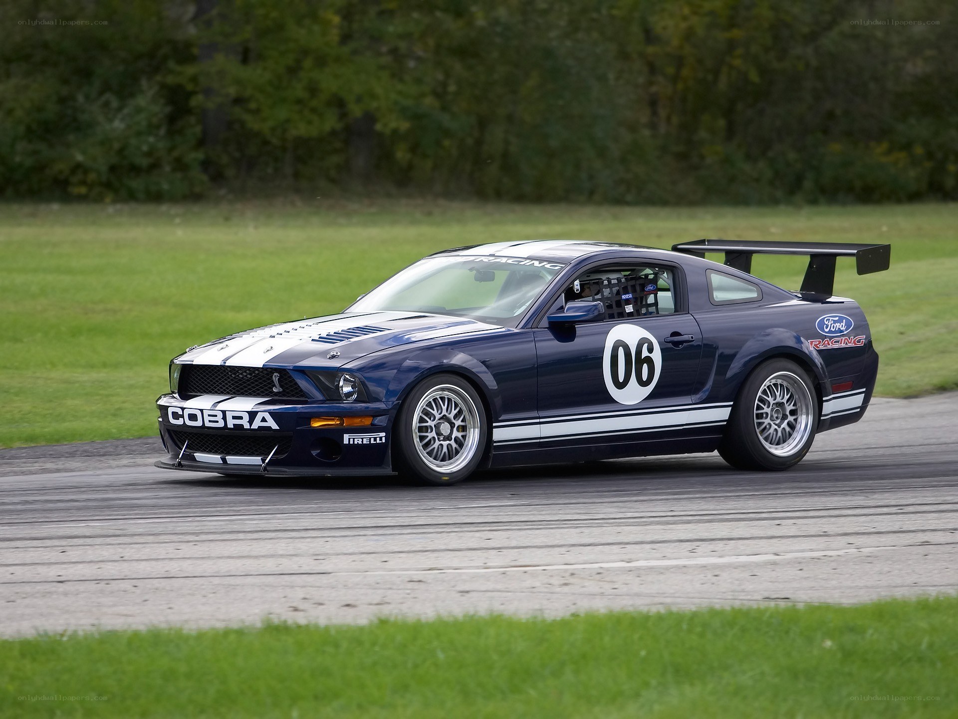 Blue Ford Cobra race car
