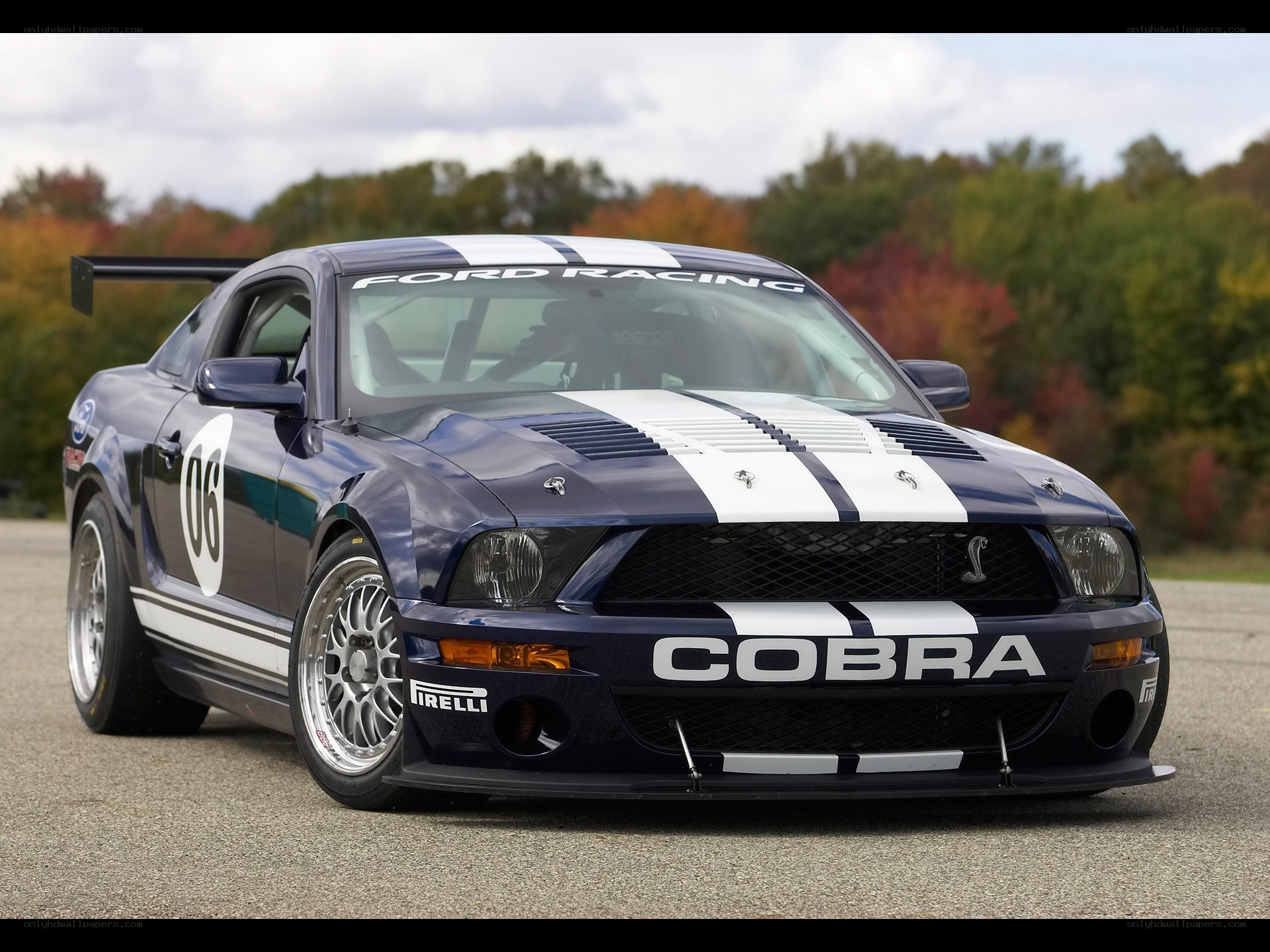 Blue Ford Cobra race car