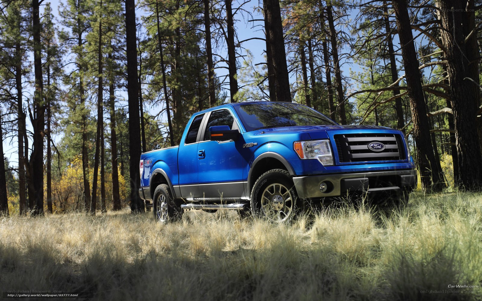 Blue Ford F-150 in forest