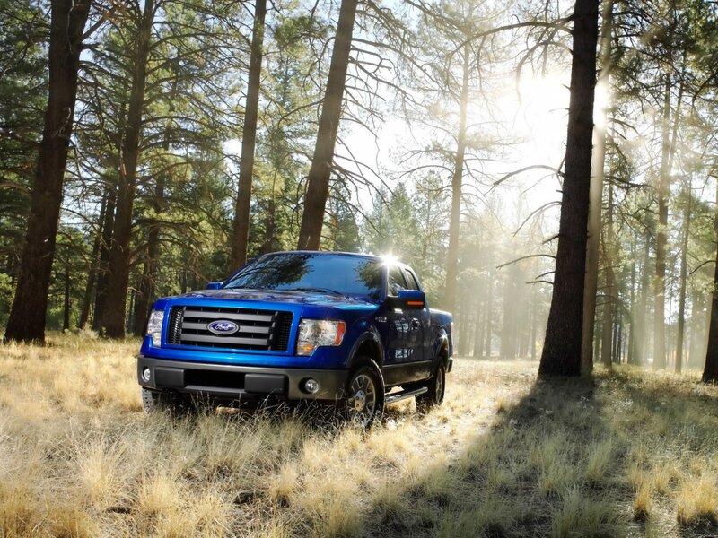 Blue Ford F-150 in forest
