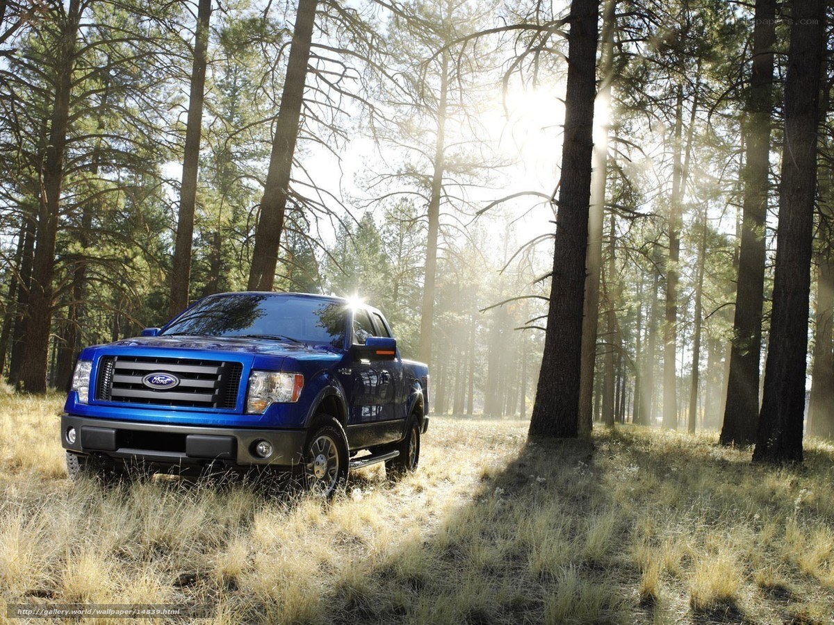 Blue Ford F-150 in forest
