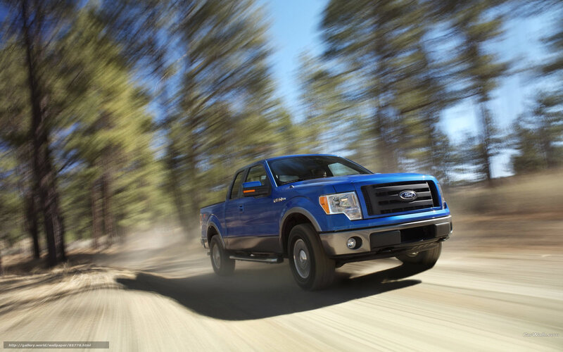 Blue Ford F-150 on a forest road