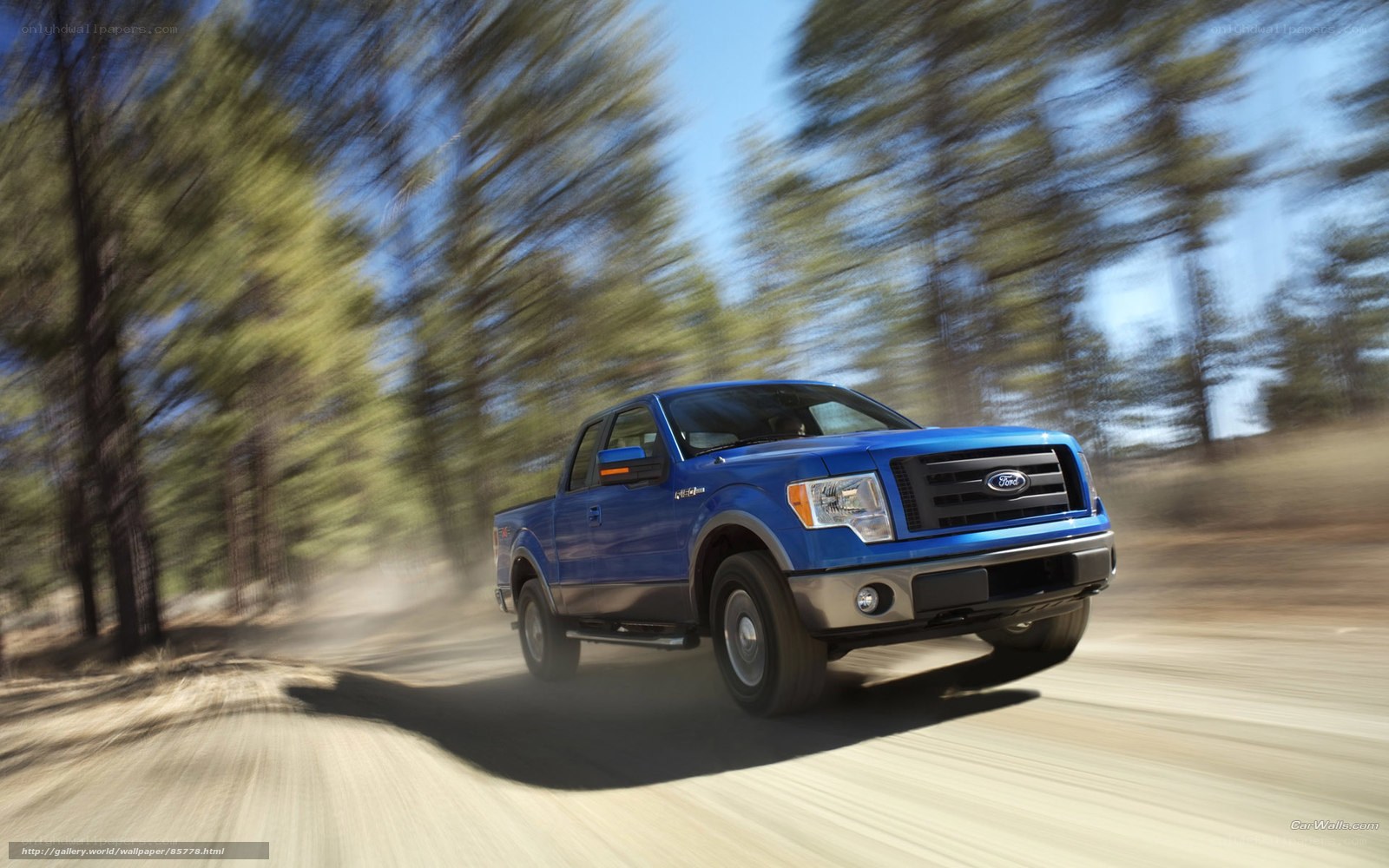 Blue Ford F-150 on a forest road