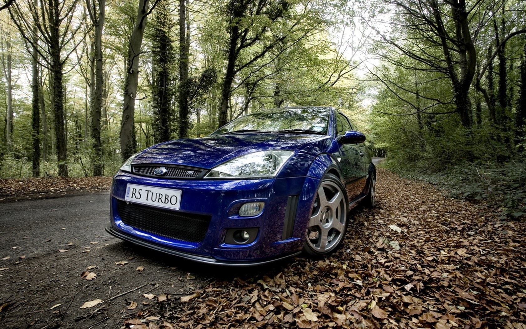 Blue Ford Focus RS in forest
