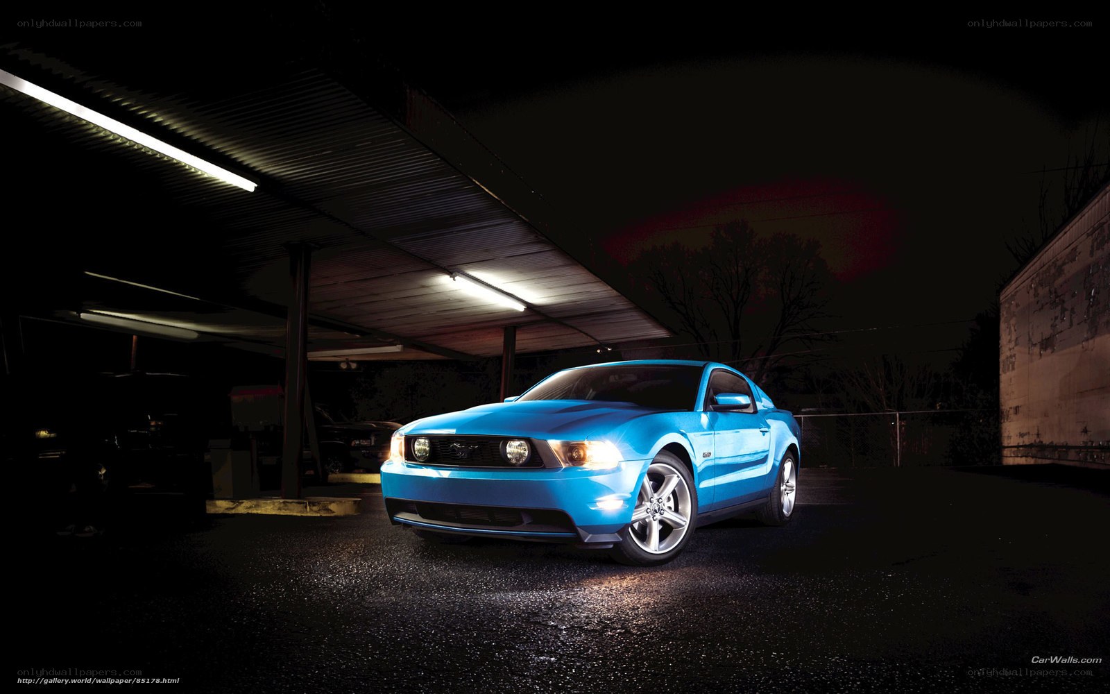 Blue Ford Mustang at night