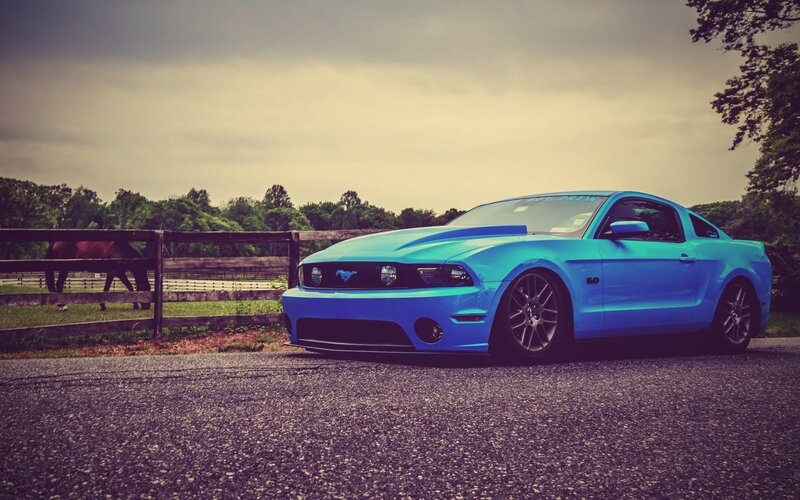 Blue Ford Mustang — Calm, Afternoon, Photograph, Horse