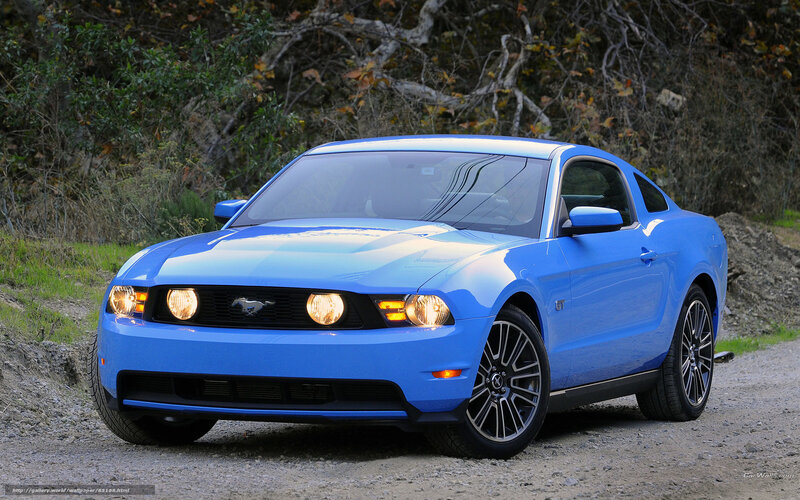 Blue Ford Mustang — Calm, Afternoon