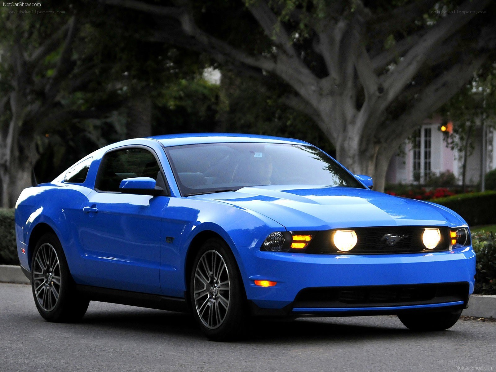 blue ford mustang coupe