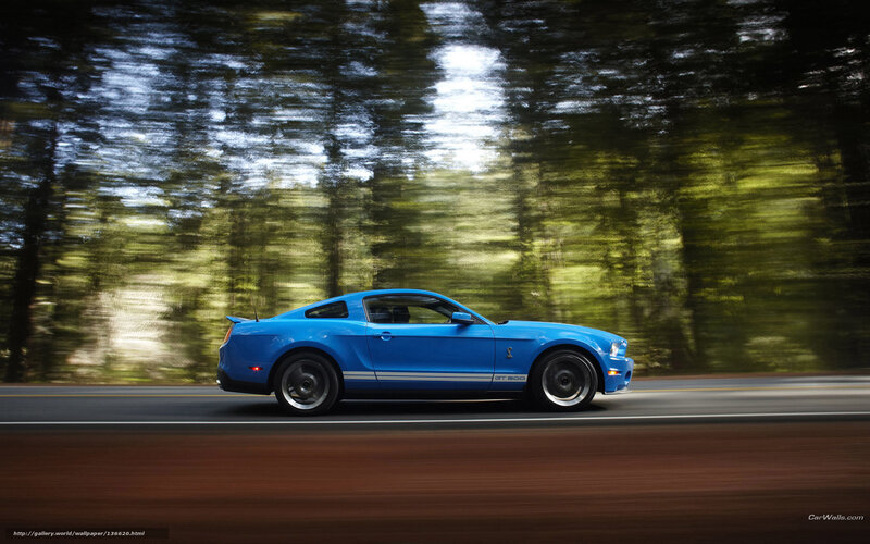 Blue Ford Mustang — Dynamic, Afternoon