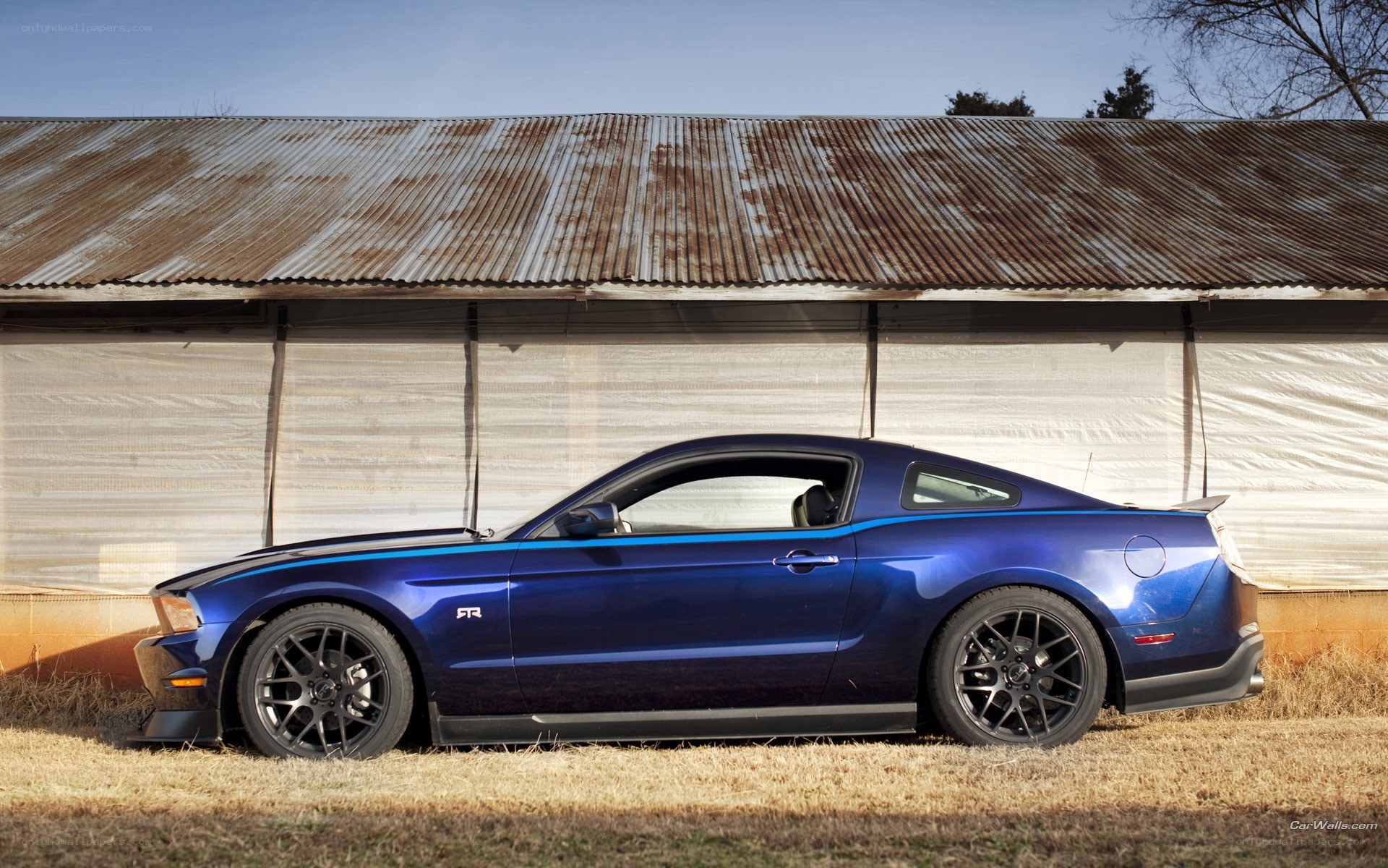 blue ford mustang fr