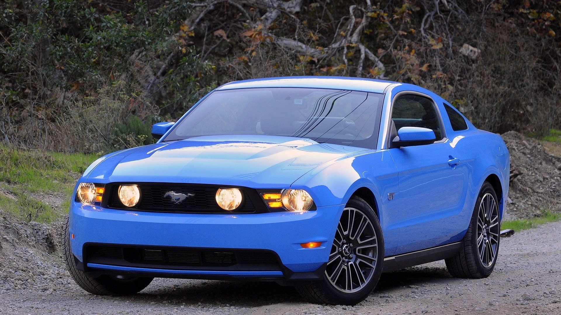 Blue Ford Mustang GT