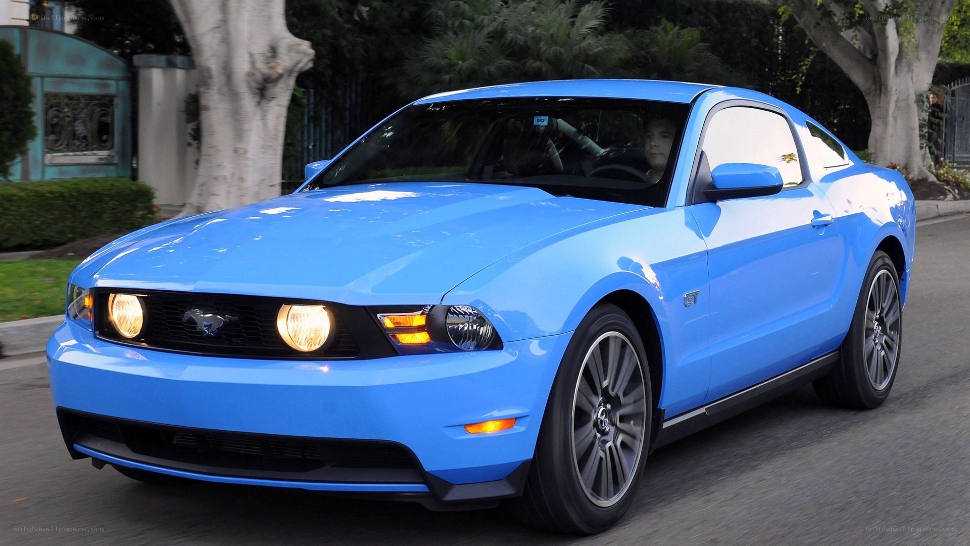 blue ford mustang gt