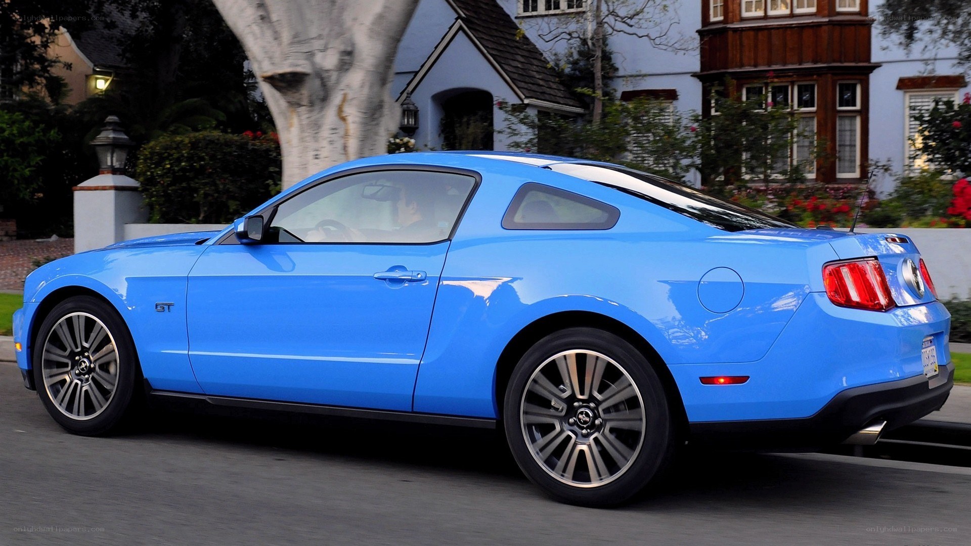 blue ford mustang gt