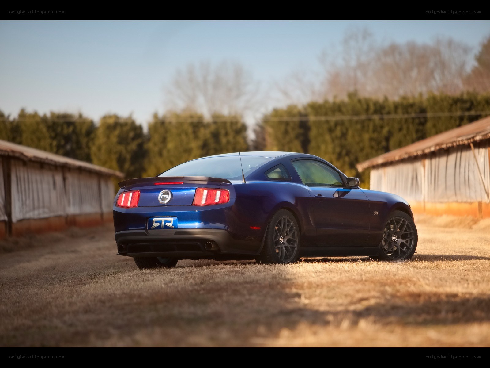 Blue Ford Mustang GT