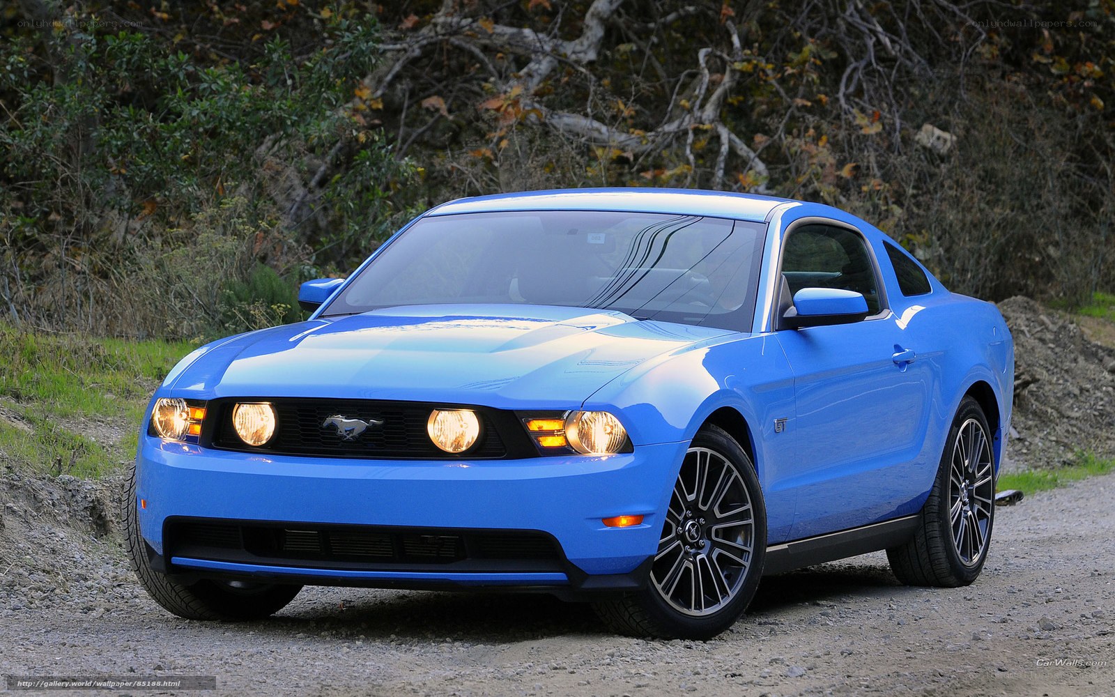 Blue Ford Mustang GT