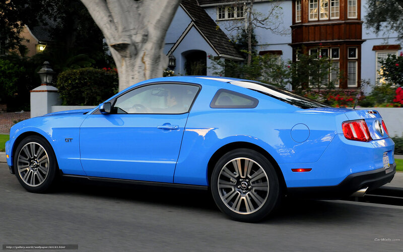Blue Ford Mustang GT — Calm