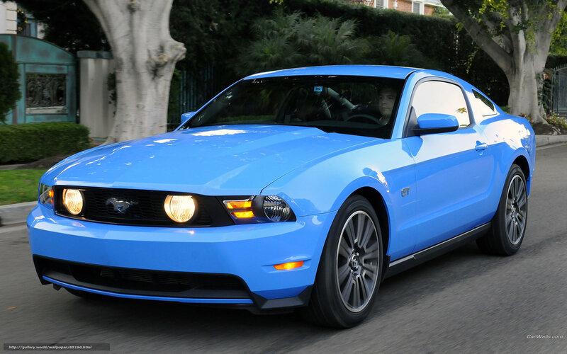Blue Ford Mustang Gt — Dynamic, Afternoon, Photograph
