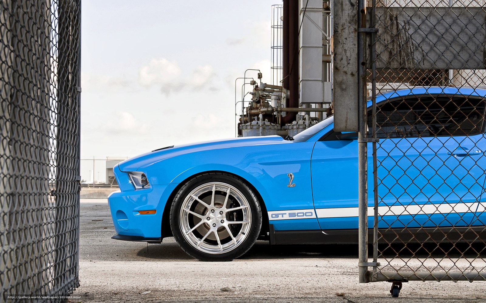 Blue Ford Mustang GT500