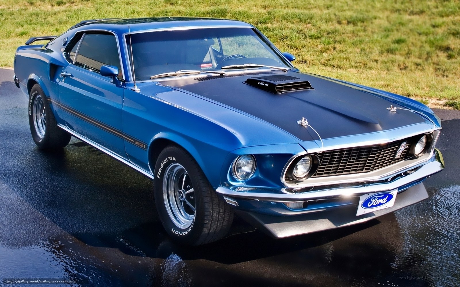 Blue Ford Mustang Mach 1