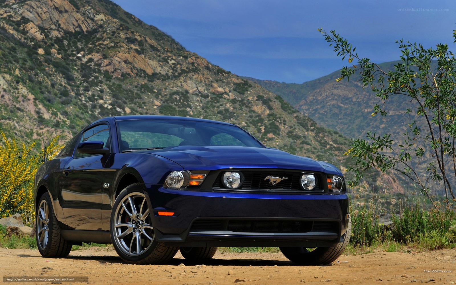 Blue Ford Mustang on a dirt road