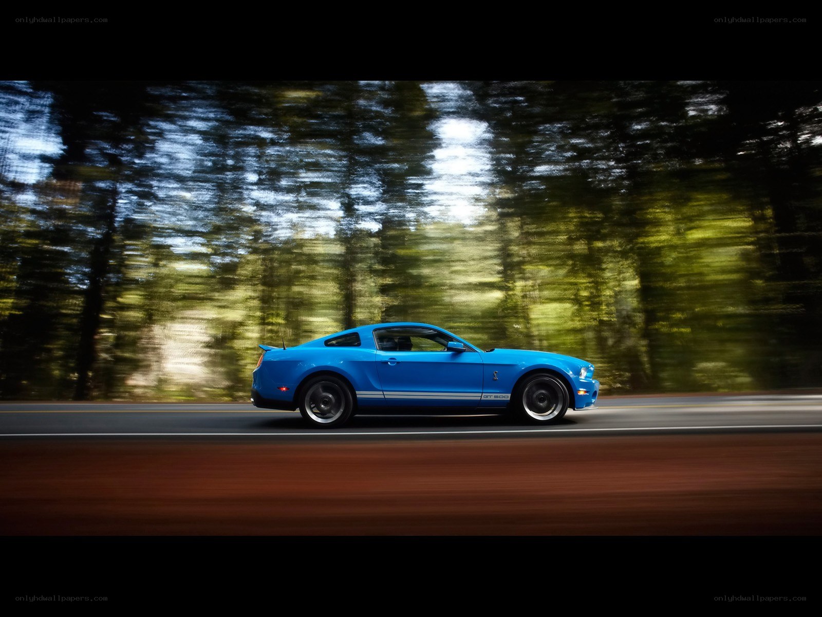 Blue Ford Mustang on a forest road