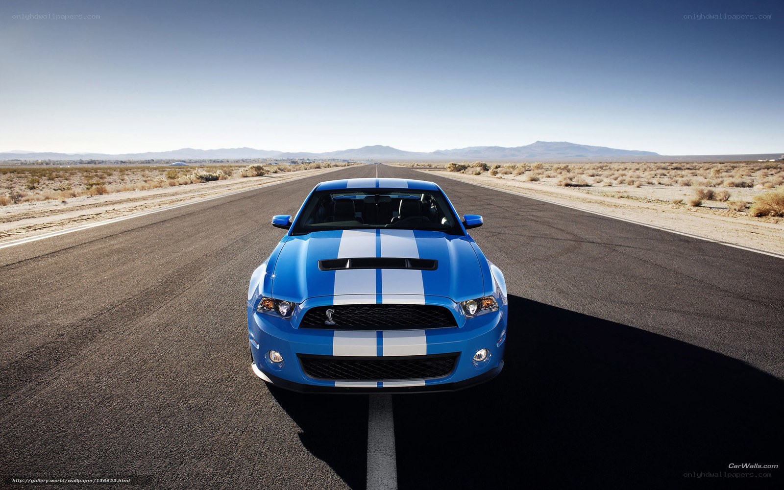 Blue Ford Mustang on desert road