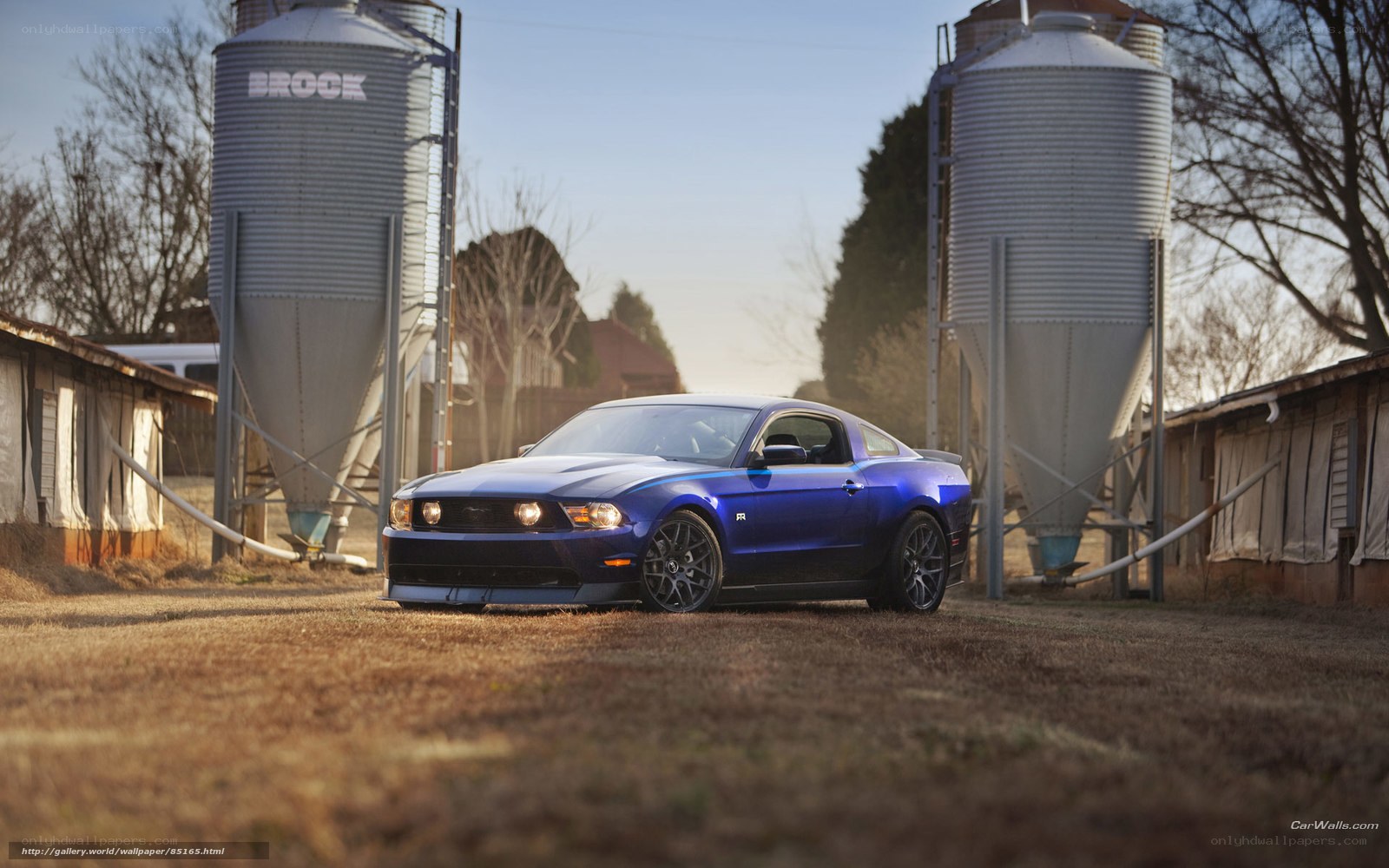 Blue Ford Mustang on farm