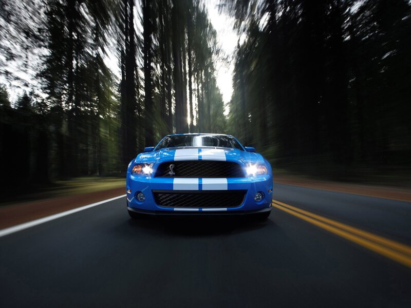 Blue Ford Mustang on forest road
