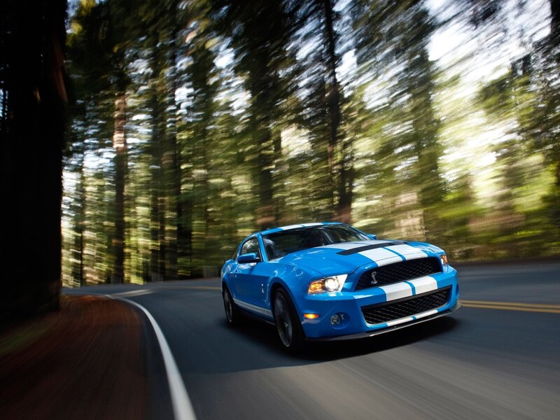 Blue Ford Mustang on forest road