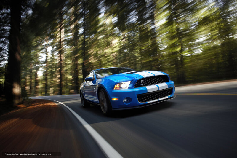 Blue Ford Mustang on forest road