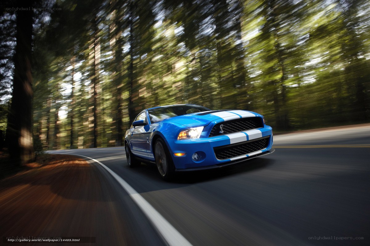 Blue Ford Mustang on forest road