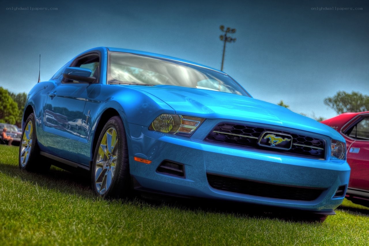 Blue Ford Mustang on grass