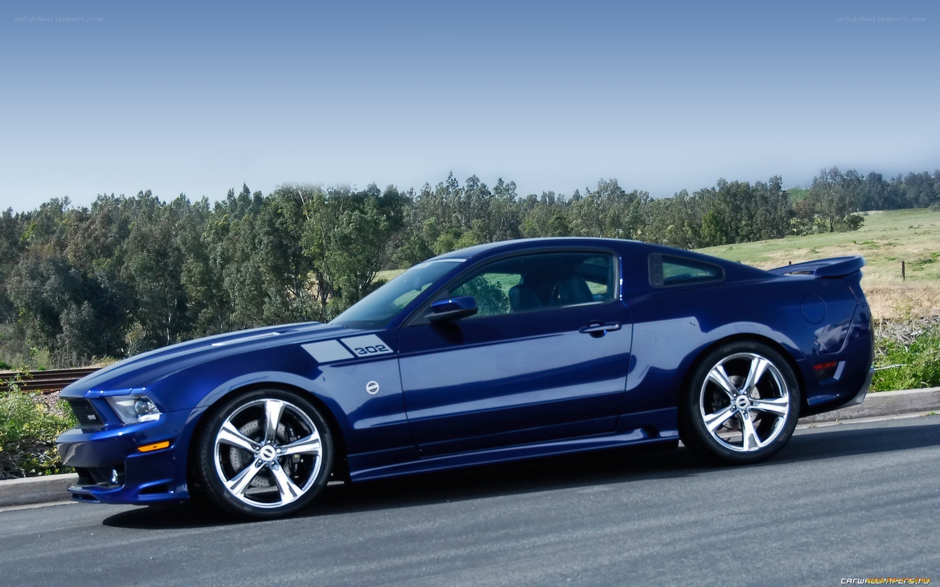 blue ford mustang on road