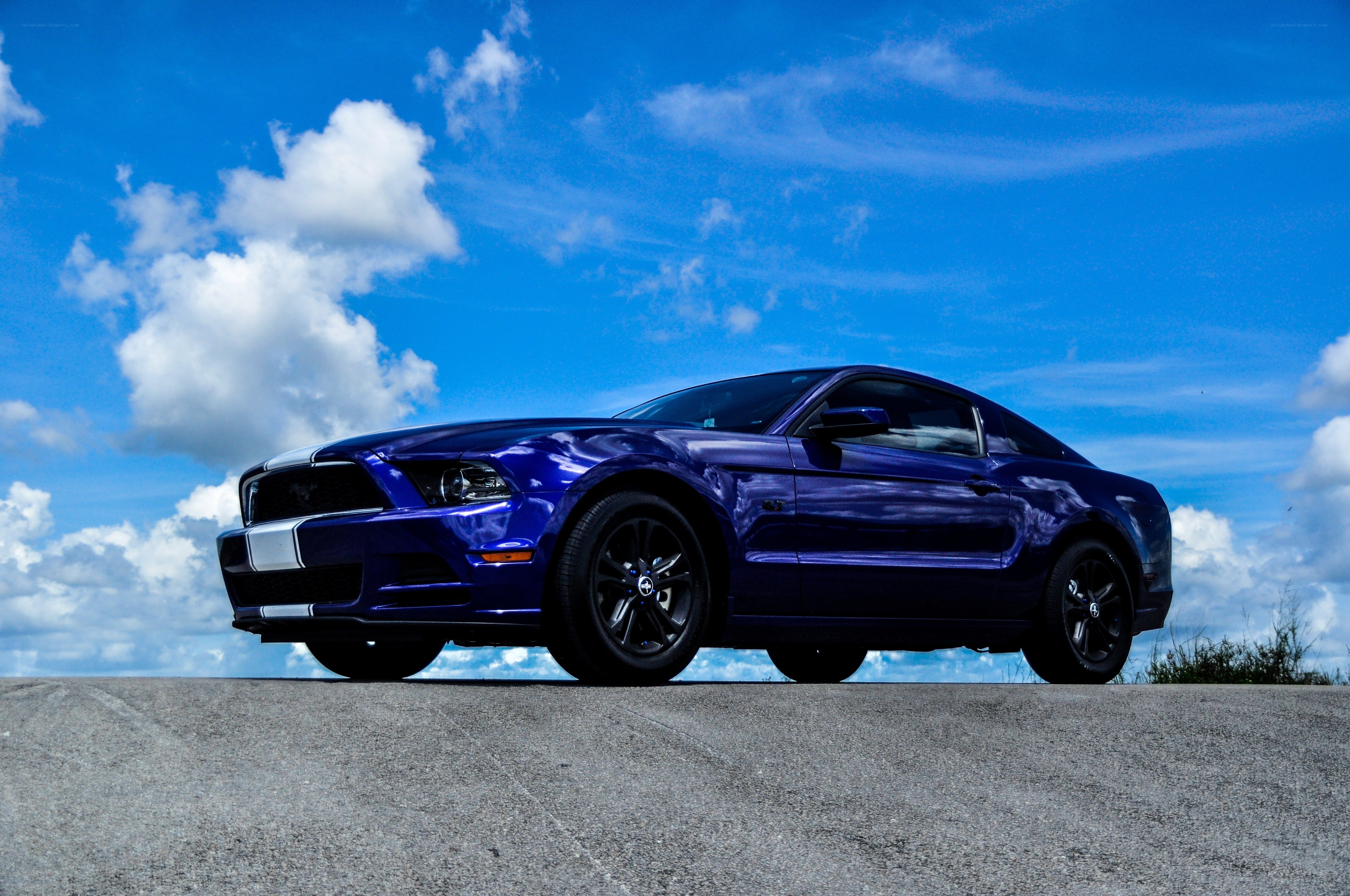 Blue Ford Mustang on road